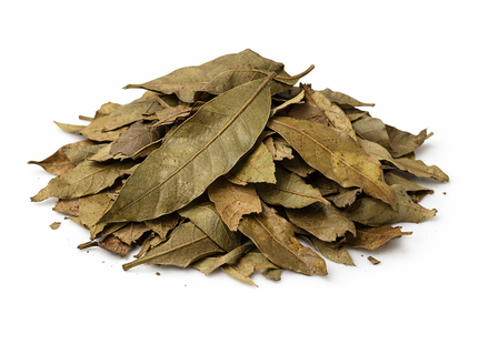 Mangoblätter – getrocknet 15 g, abgepackt