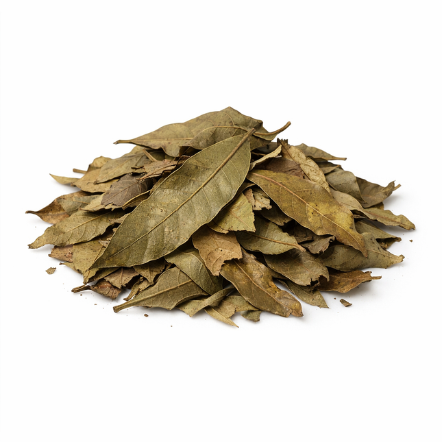 Mangoblätter – getrocknet 15 g, abgepackt