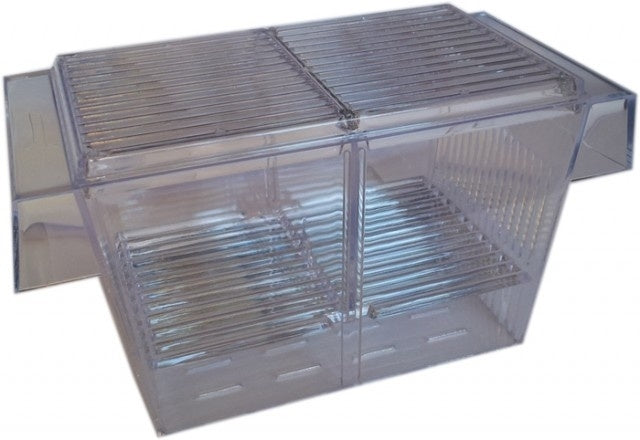 Aqua Nova Fish Hatchery NFH – Ablaichkasten & Aufzuchtbox