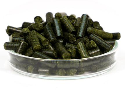 Garnelen4you - Neo Algen Sticks, 30g