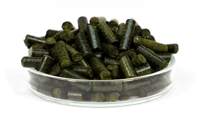 Garnelen4you - Neo Algen Sticks, 30g