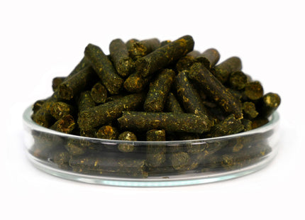 Garnelen4you - Planty Sticks, 30g