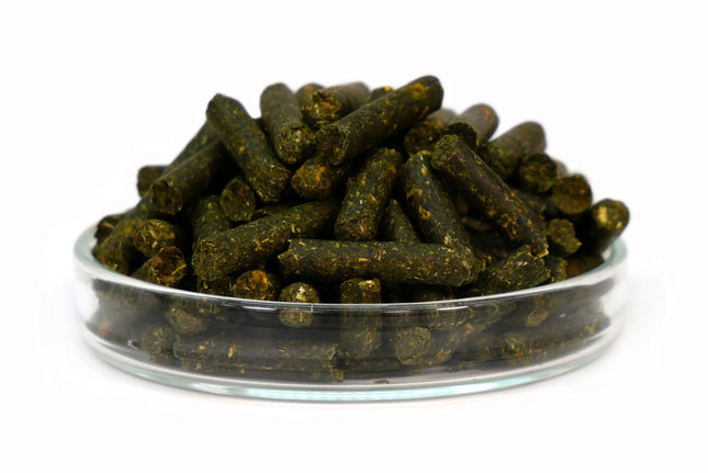 Garnelen4you - Planty Sticks, 30g