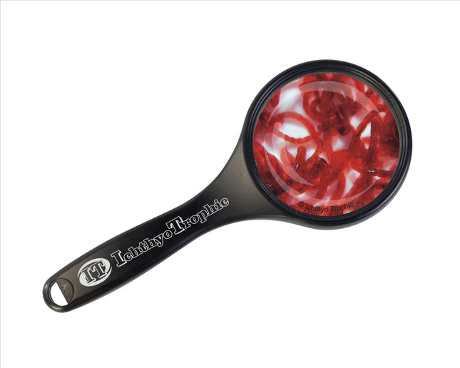 Rote Mückenlarven Lebendfutter