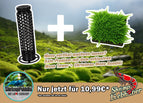 Tower + Moos Aktion
