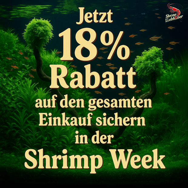 18 % Rabatt auf deinen Einkauf