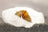 Bienenschnecke