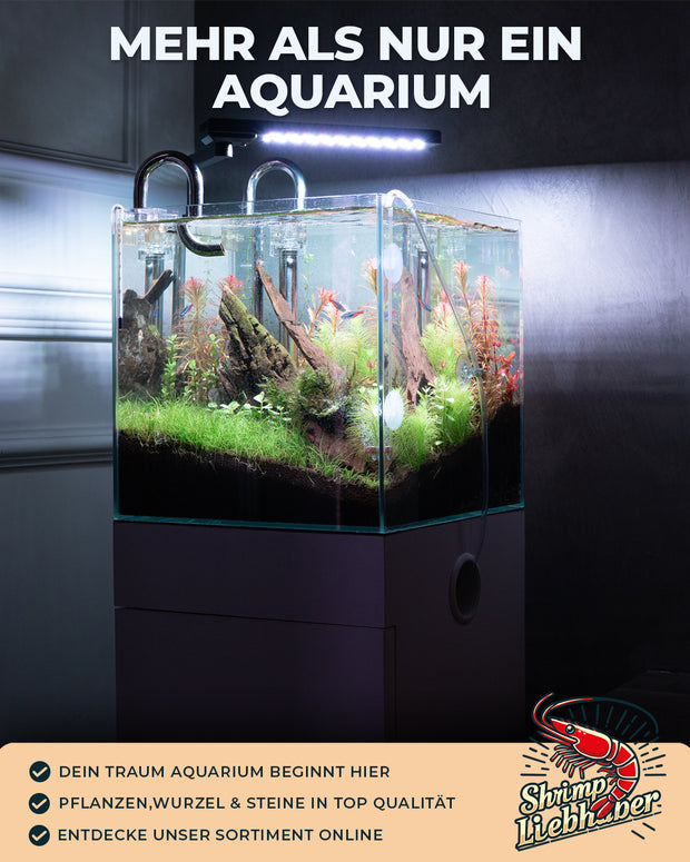 Design trifft Aquaristik