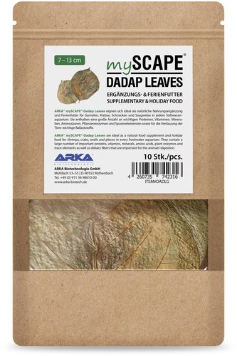 Arka - Dadap Blätter 10 Stück