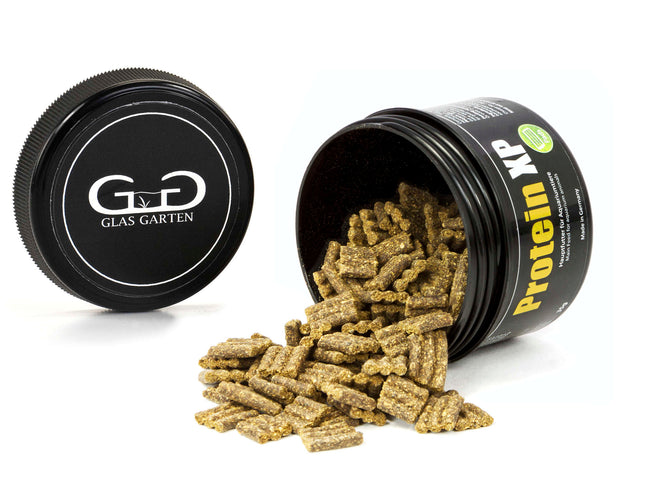 GlasGarten - Protein XP, 35g