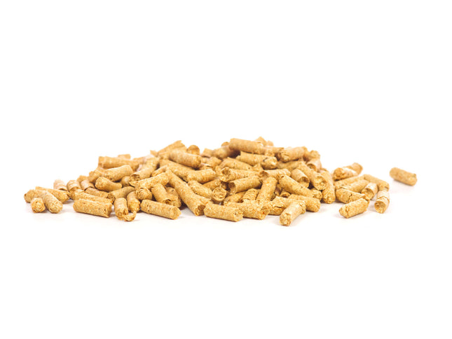 GlasGarten - Shrimp Snacks Snow Flakes, Kürbis-Karotte 30g